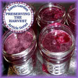 Jams, Jellies, Preserves: What's the Difference? - My Northern Garden