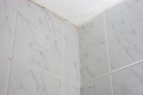 mildew mold clean ceiling bathroom particle shower doityourself above