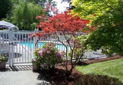 Image of Coventry Court Apartments in Tacoma, WA