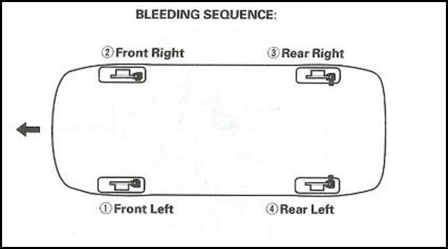 Bleeding Sequence