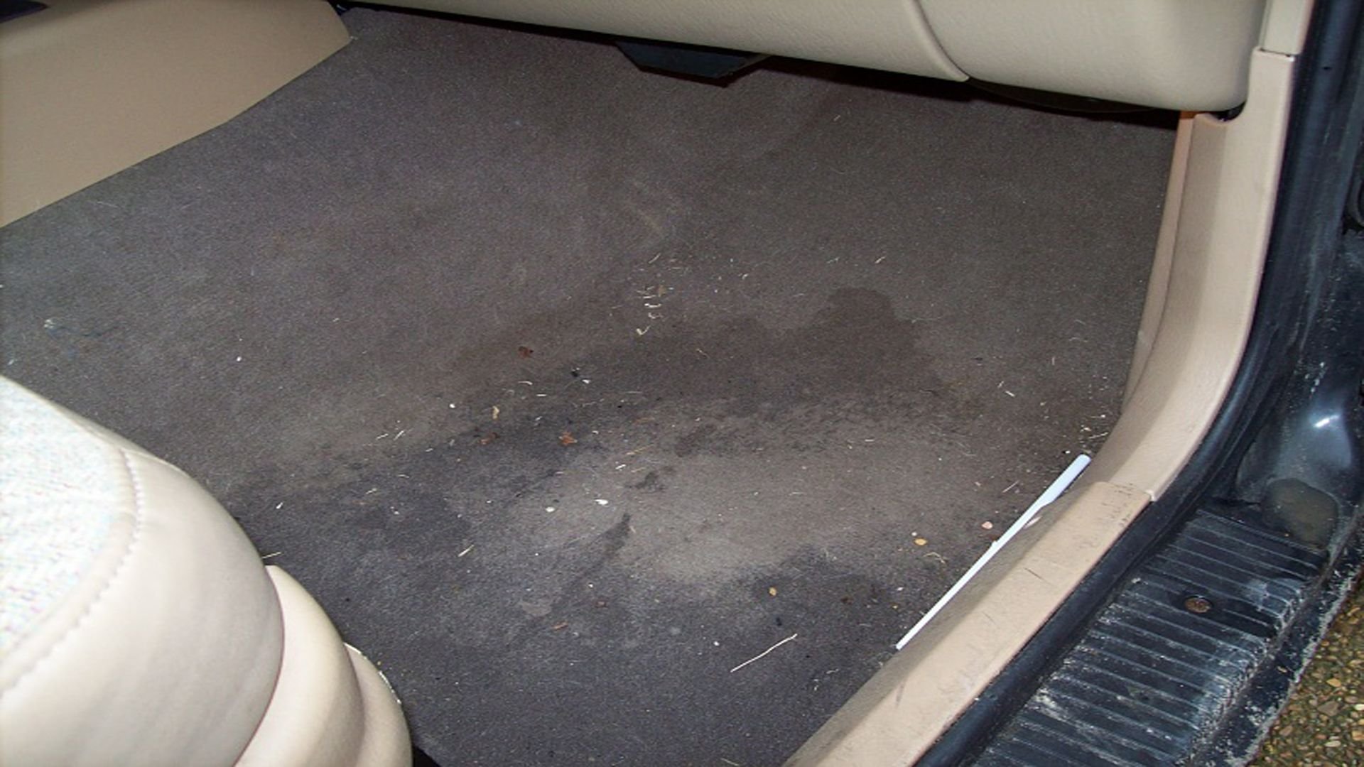 Passenger Floor Wet In Car Viewfloor.co