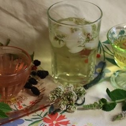 herbal teas