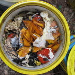 Bokashi Composting - Organic Gardening Videos