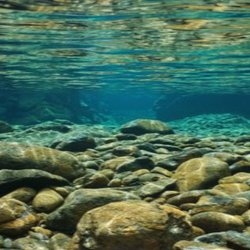 Underwater scene with rocks