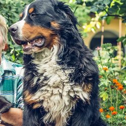 Woman holding cat and sitting with dog in garden