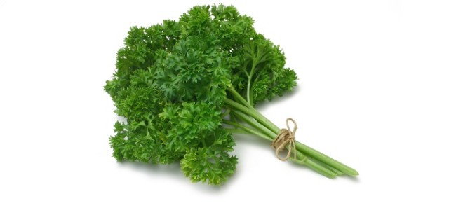a bundle of parsley on a blank background