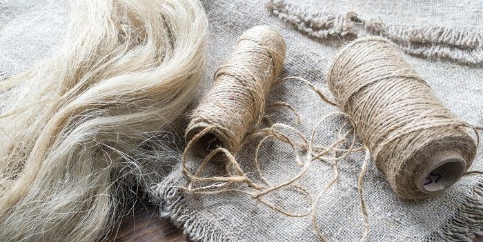 Flax is an Ancient Plant with Many Uses Today - Dave's Garden