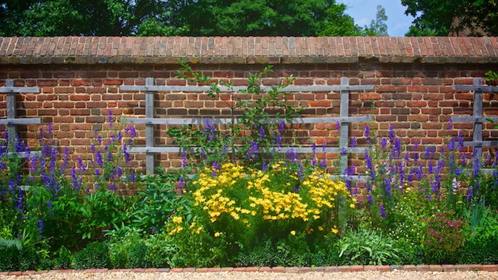 How to Make an Inexpensive Trellis for Your Climbing Plants - Dave's Garden