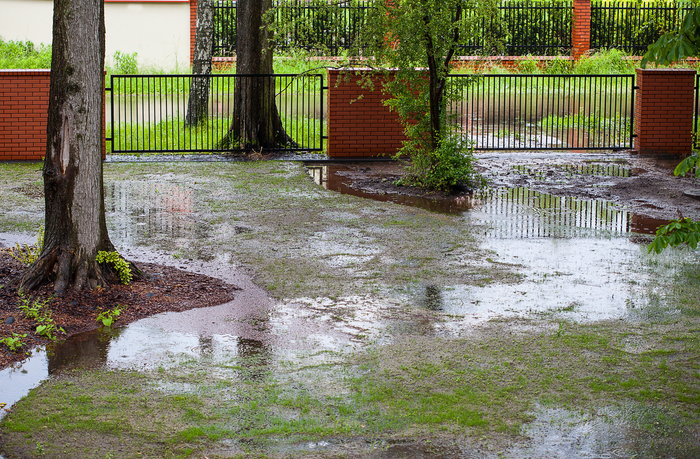 Flooded yard