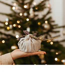 A photo of a gift in front of a christmas tree