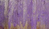 A fence of wood painted in purple. 