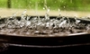How to Reuse Rain Water in Your Home