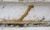 How to Seal a Termite Treatment Hole