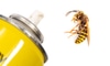 How to Kill Yellow Jackets and Prevent Infestation