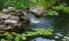 How to Build a Backyard Pond and Waterfall