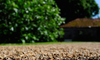 Removing Weeds from Your Gravel Driveway