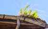 How to Remove Old Gutters From Your House