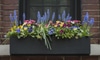 Tips for the Perfect Window Box