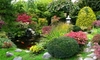 Classic Japanese Tea Gardens