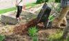 Difference Between Mulch and Composted Manure