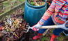 Woman using garden fork to remove uncomposted food waste from top of composting pile, before spreading the compost onto a vegetable garden.