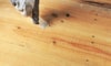 How to Apply a Stain Over Wood Filler