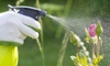 4 Natural Homemade Bug Sprays