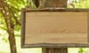 Weatherproof Wooden Signs: 6 Step DIY Guide