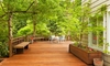 A backyard wood deck surrounded by bright green trees.