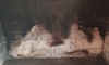 How to Repair a Damaged Stone Fireplace Surround