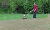 How to Dethatch Your Lawn