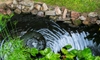 Advantages of Submersible Garden Pond Pumps