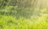 How to Install a Rain Sensor in 7 Steps