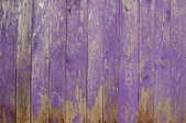 A fence of wood painted in purple.