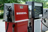 Biodiesel fuel choice