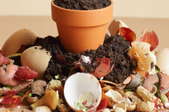 food scraps around a small pot with dirt