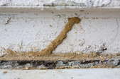 termite tube