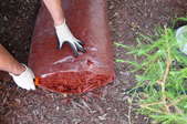 Applying wood chips as mulch in a garden bed.