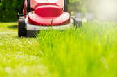 lawn mower cutting grass