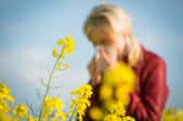 A woman sneezing next to yellow flowers.