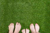 Three pairs of bare feet on lush grass.