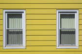 Yellow aluminum siding with two windows.