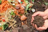 Compost with vegetable scraps