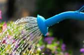 4 Types of Sprinkler Heads Explained