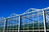 How to Build a Wood Greenhouse Base
