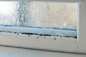 The wooden frame of a wet window is covered in mildew growth.