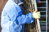 A person in a blue safety suit carrying a piece of building material to be disposed of. 