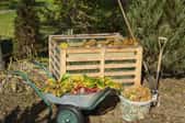 Compost bin and ingredients