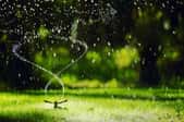 a spinning sprinkler watering a green lawn
