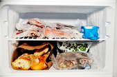 freezer filled with food